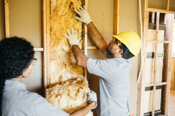 Best Wall Insulation Installation  in Bromley, KY